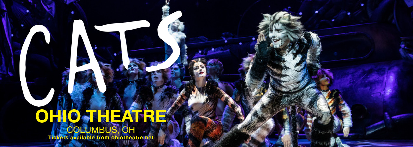 Cats: musical returns to Broadway for first time since 1982, The  Independent